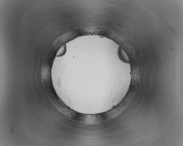 X0000111420623200908101057