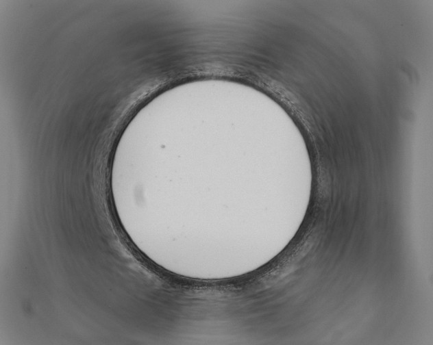 X0000111420625200908101056
