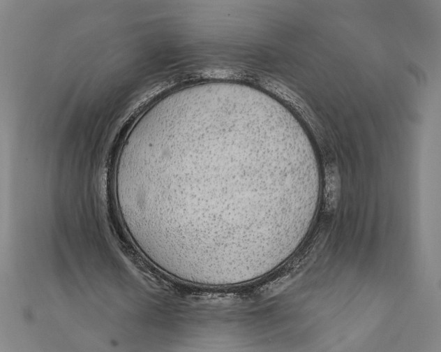 X0000111420626200908101056