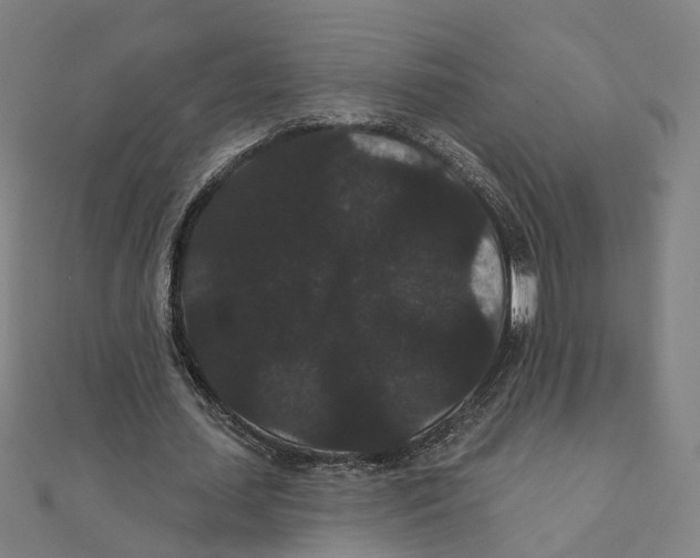 X0000111420627200908101056