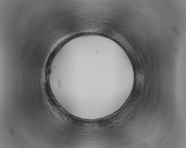 X0000111420628200908101056