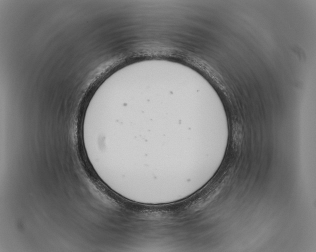 X0000111420629200908101056