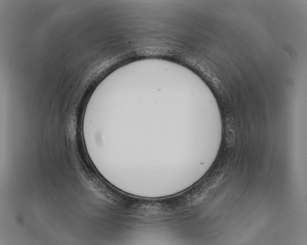 X0000111420631200908101056
