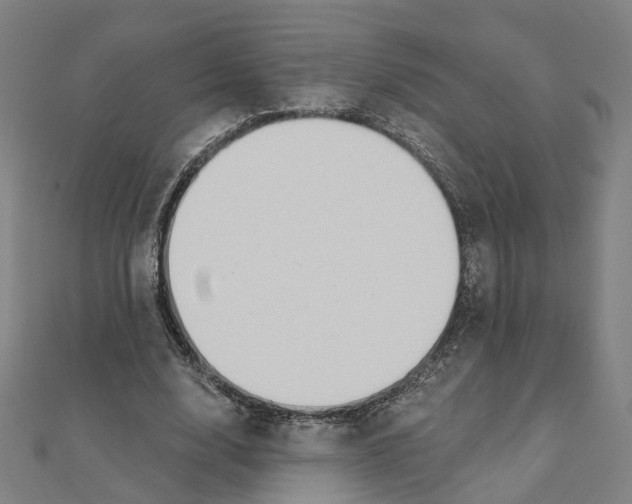 X0000111420632200908101056