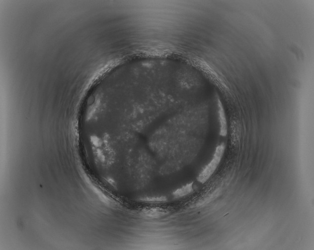 X0000111420634200908101056
