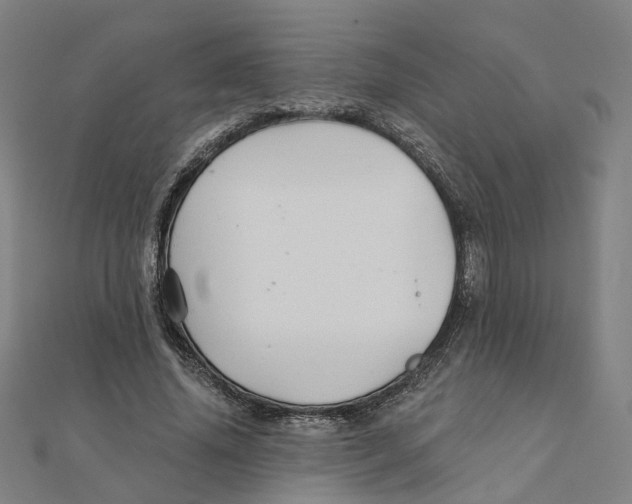 X0000111420636200908101057