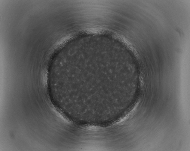 X0000111420637200908101057