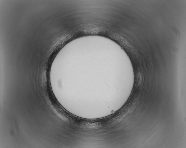 X0000111420638200908101057