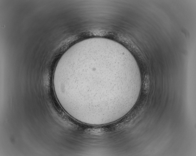 X0000111420639200908101057