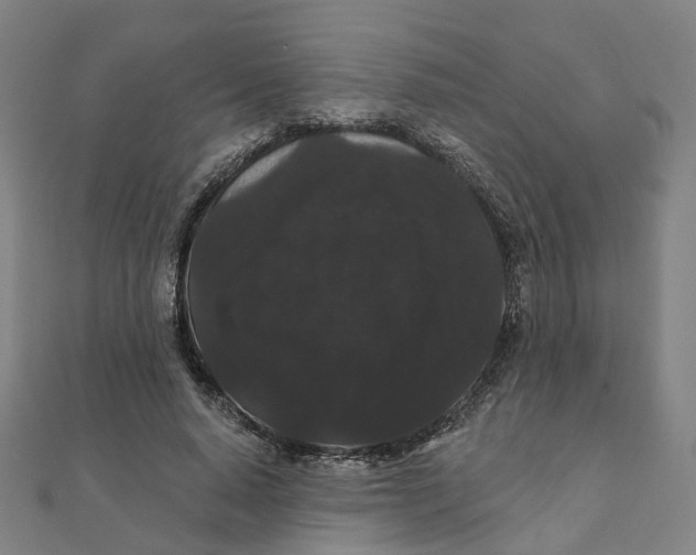 X0000111420640200908101057