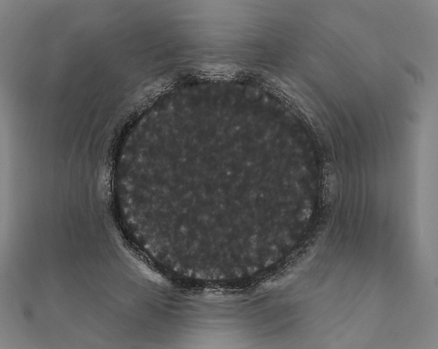 X0000111420641200908101057