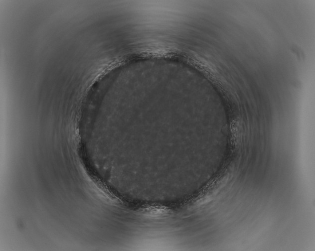 X0000111420642200908101057
