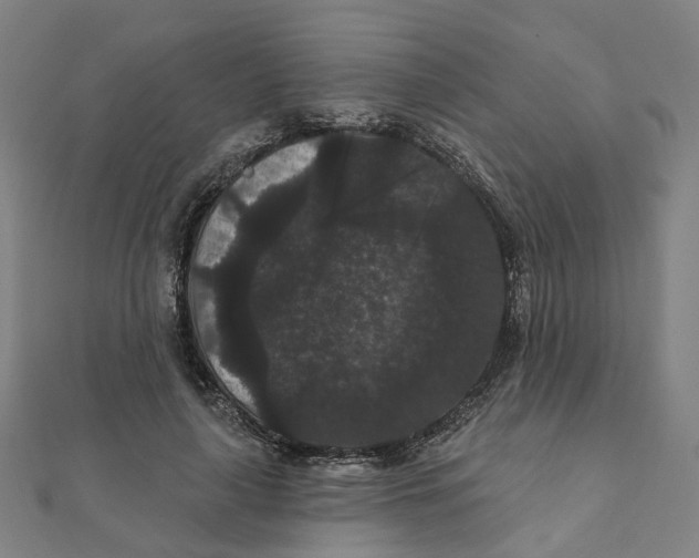 X0000111420643200908101057