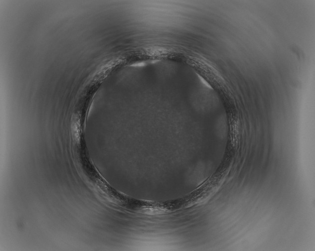 X0000111420644200908101057