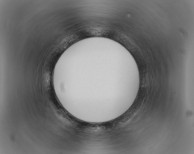 X0000111420646200908101057