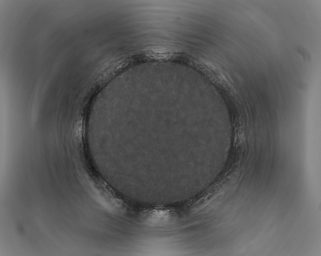 X0000111420647200908101057