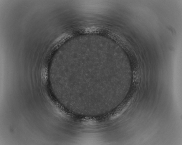 X0000111420648200908101057