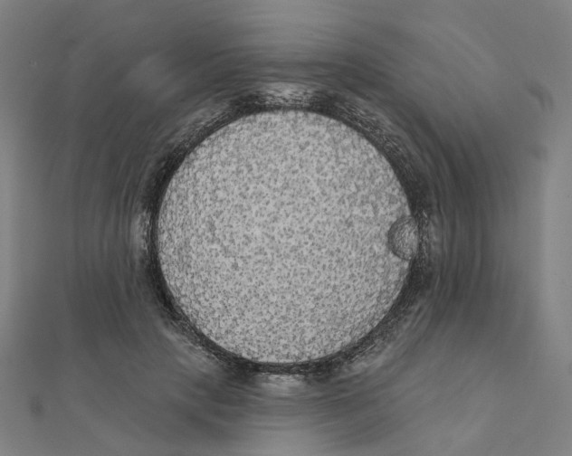 X0000111420649200908101057