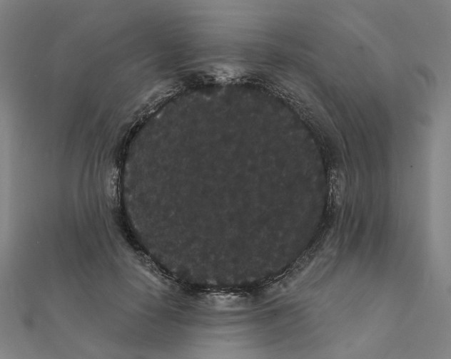 X0000111420650200908101057
