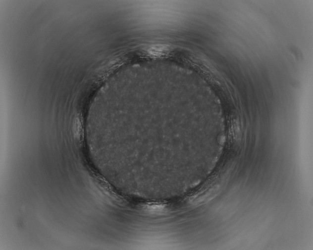 X0000111420651200908101057