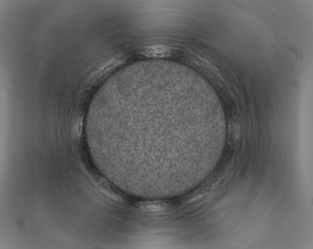 X0000111420652200908101057
