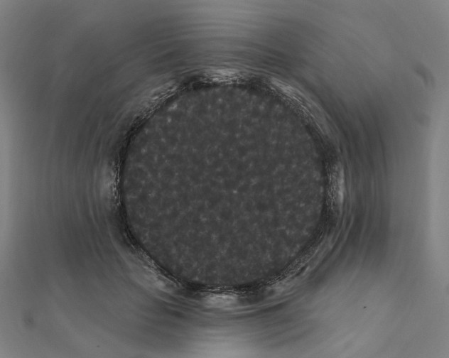 X0000111420653200908101057