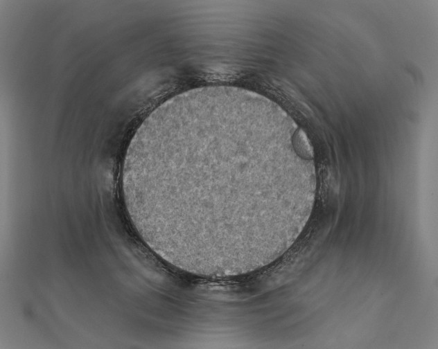 X0000111420655200908101057