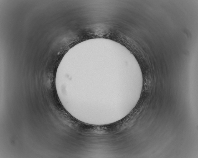 X0000111420656200908101057