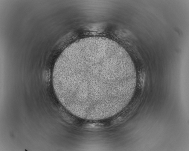 X0000111420657200908101057