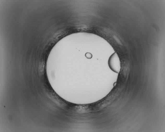 X0000111420660200908101057