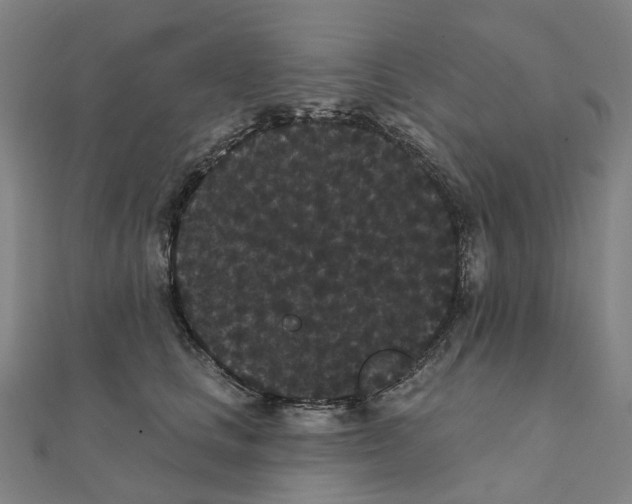 X0000111420661200908101057