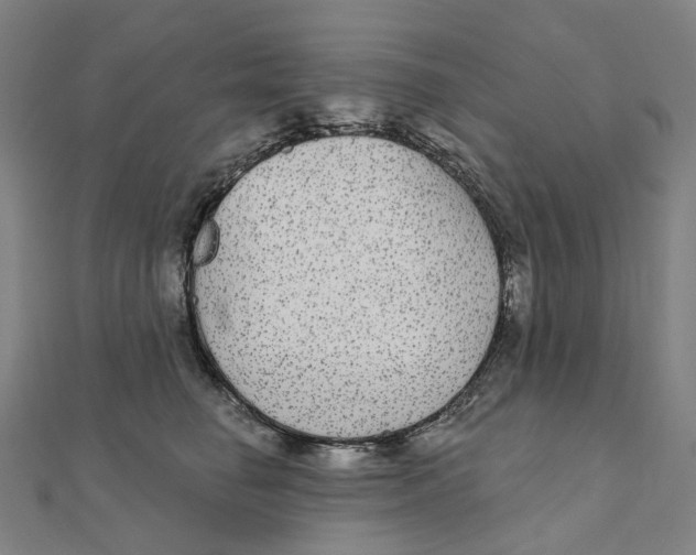 X0000111420662200908101057