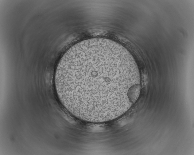X0000111420664200908101057