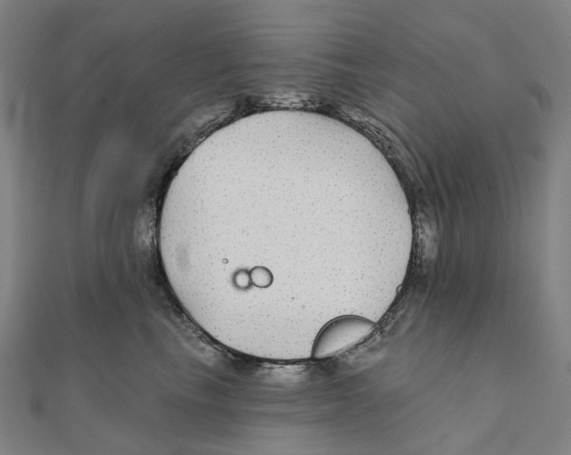 X0000111420665200908101057