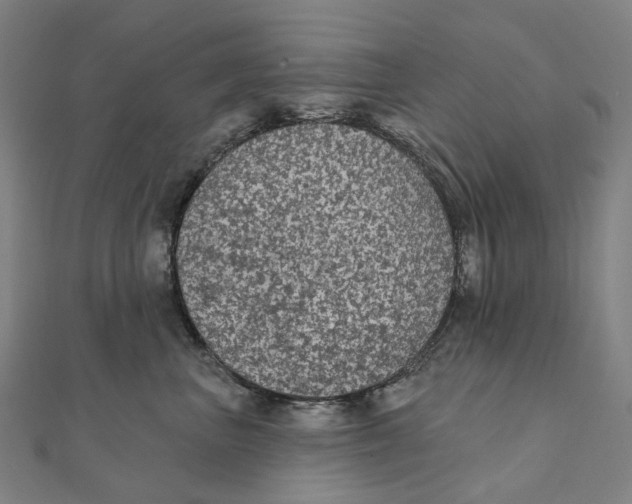 X0000111420667200908101057