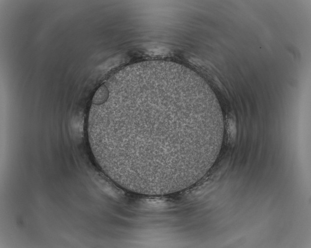 X0000111420668200908101057