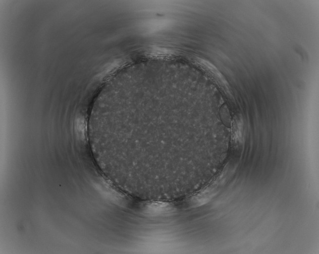 X0000111420669200908101057