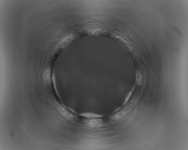 X0000111420670200908101057