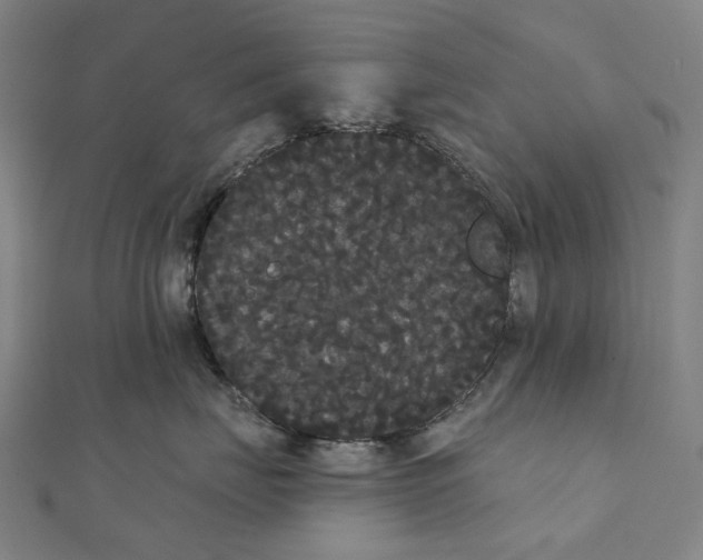 X0000111420671200908101057