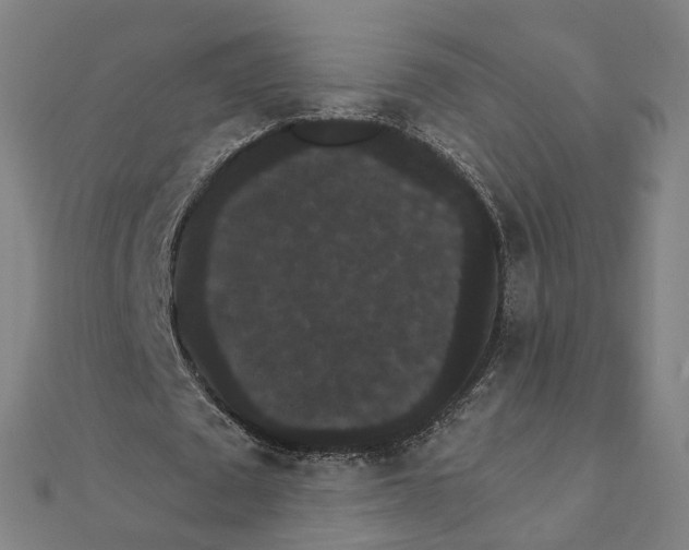 X0000111420673200908101056