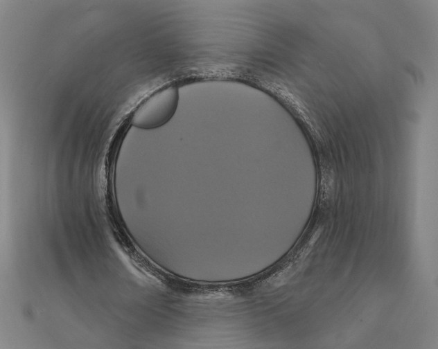 X0000111420674200908101056