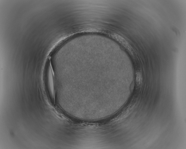 X0000111420676200908101056