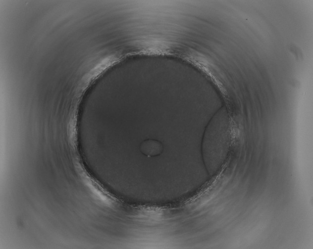 X0000111420677200908101056