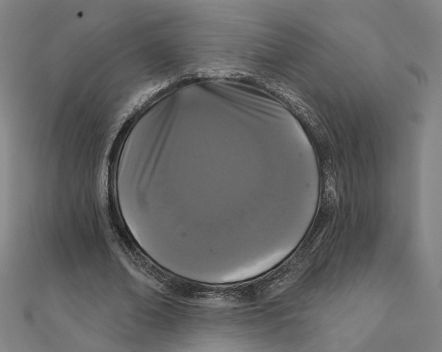 X0000111420678200908101056