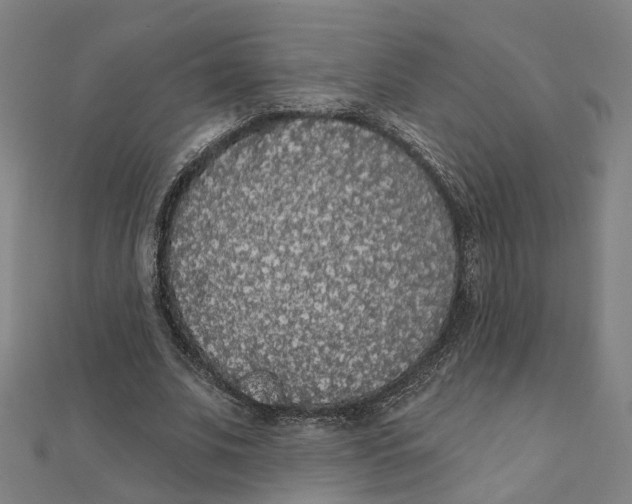 X0000111420679200908101056