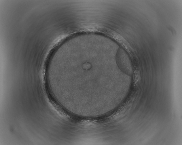 X0000111420680200908101056