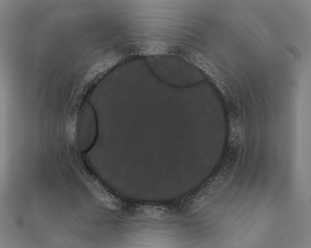 X0000111420681200908101056