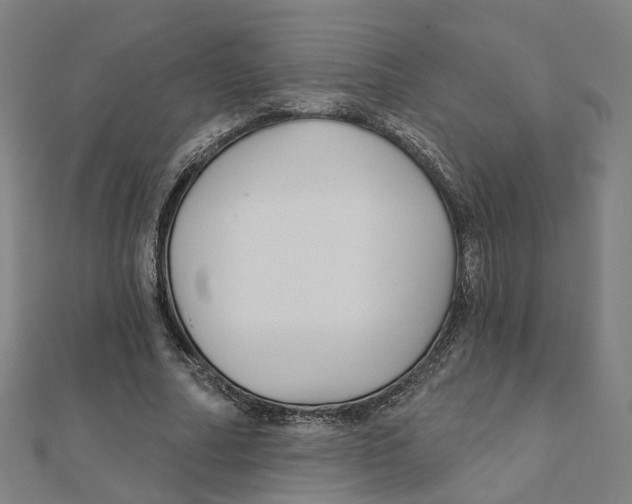 X0000111420682200908101056
