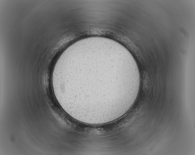 X0000111420683200908101056