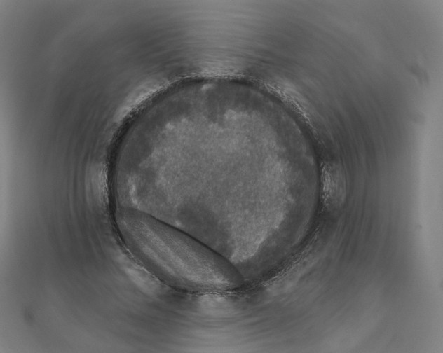 X0000111420684200908101056